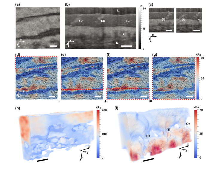 Fig. 4