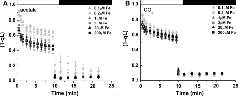 Fig. 6