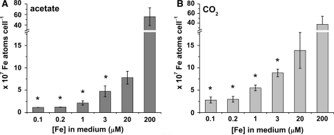 Fig. 2