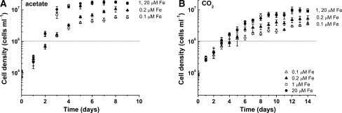 Fig. 1