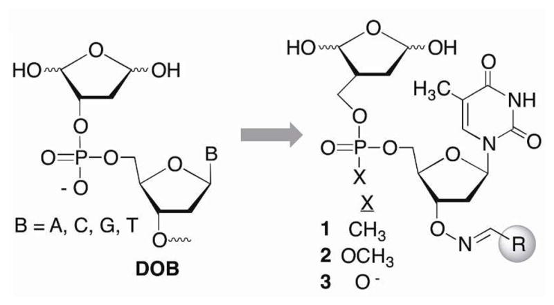 Scheme 4