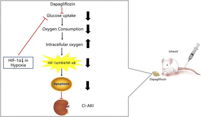 FIGURE 9.