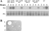 FIG. 5.