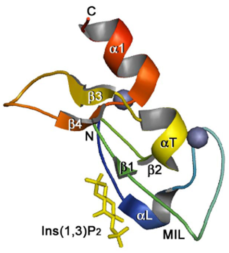 Fig. 2