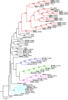 Fig 2