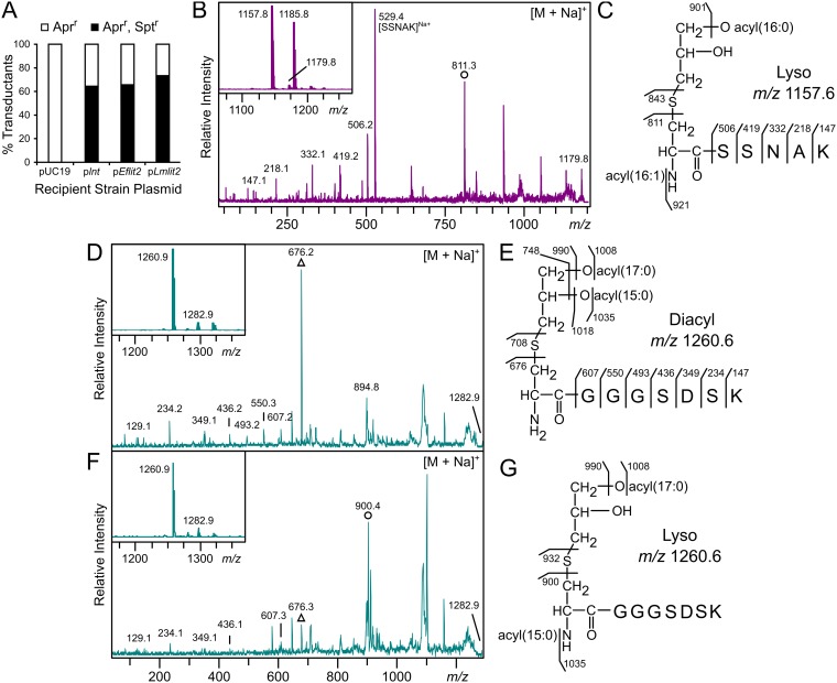 FIG 2