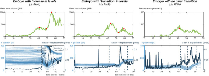 Figure 1—figure supplement 2.