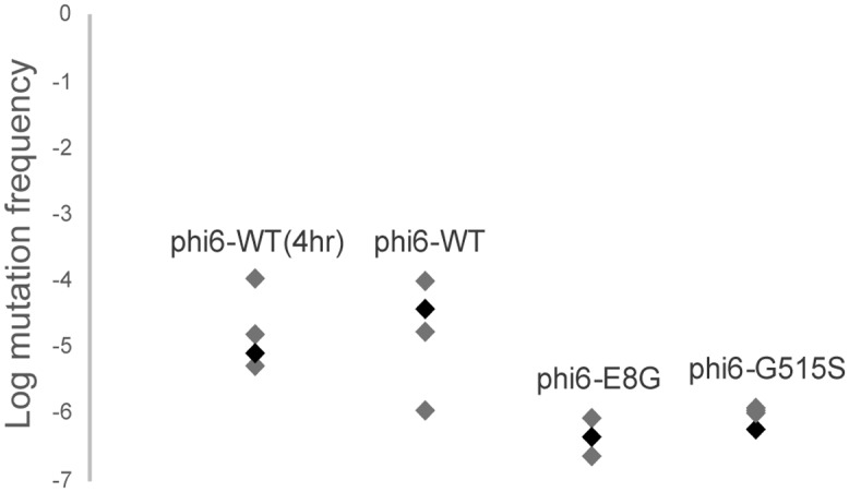 FIG 5