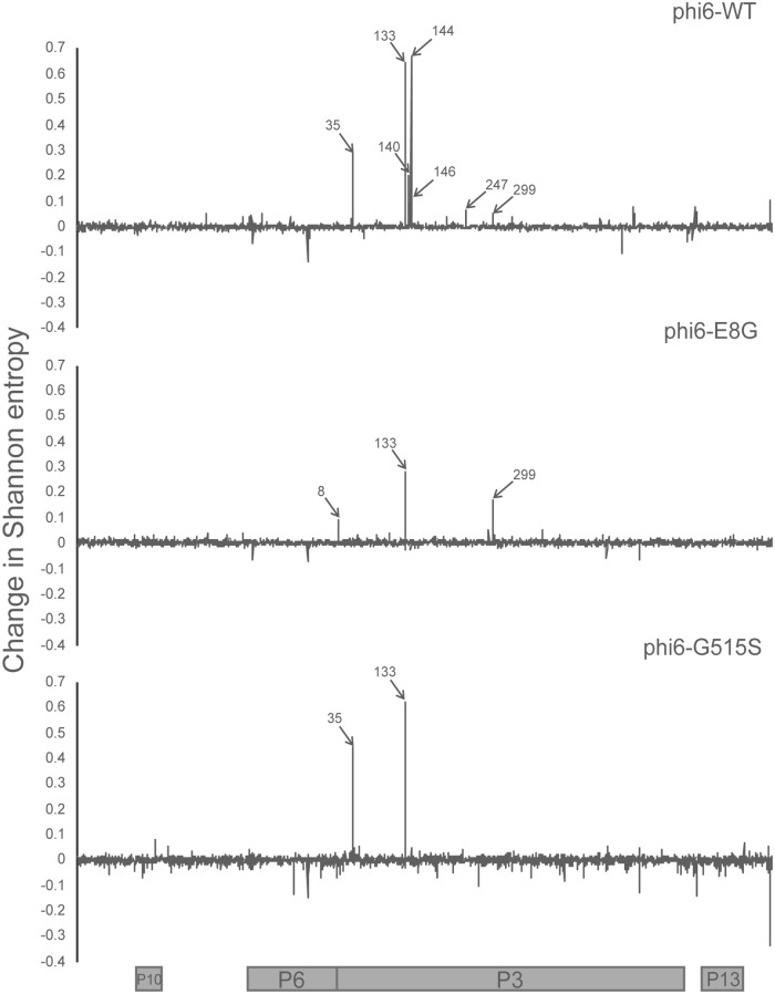 FIG 2