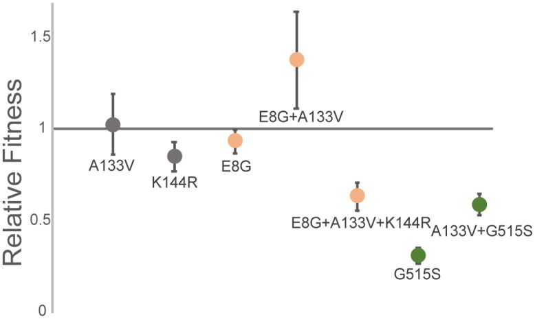 FIG 6