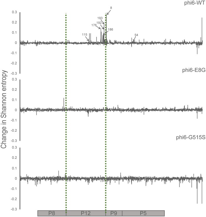 FIG 3