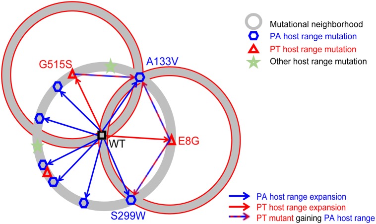 FIG 1