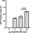 FIG. 2.