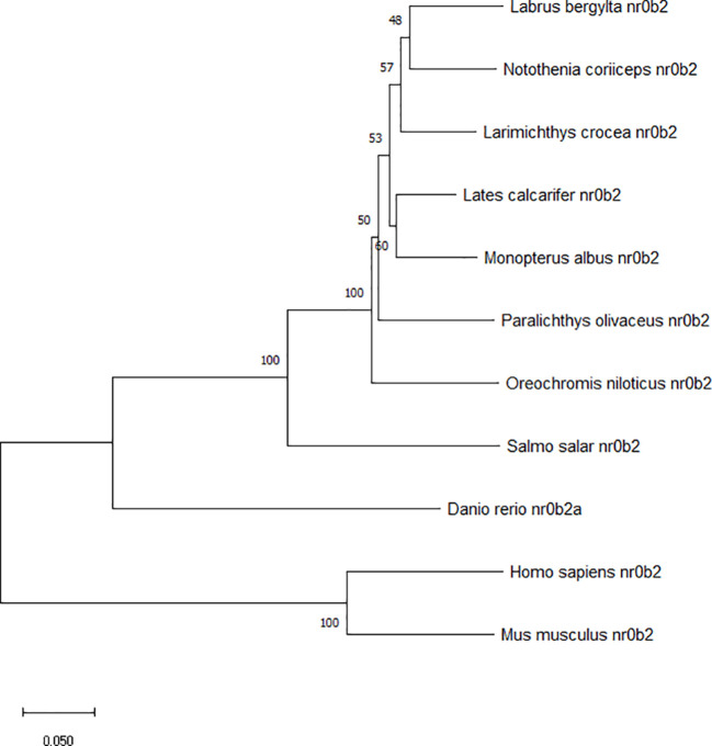 Figure 3