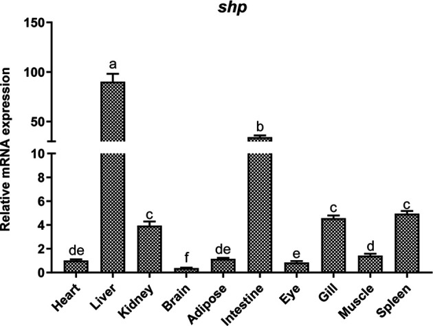 Figure 4