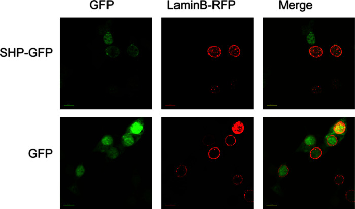 Figure 5