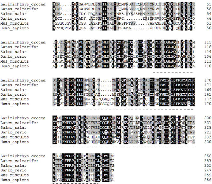 Figure 2