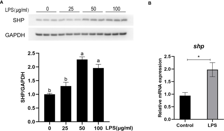 Figure 6