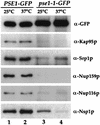 FIG. 7