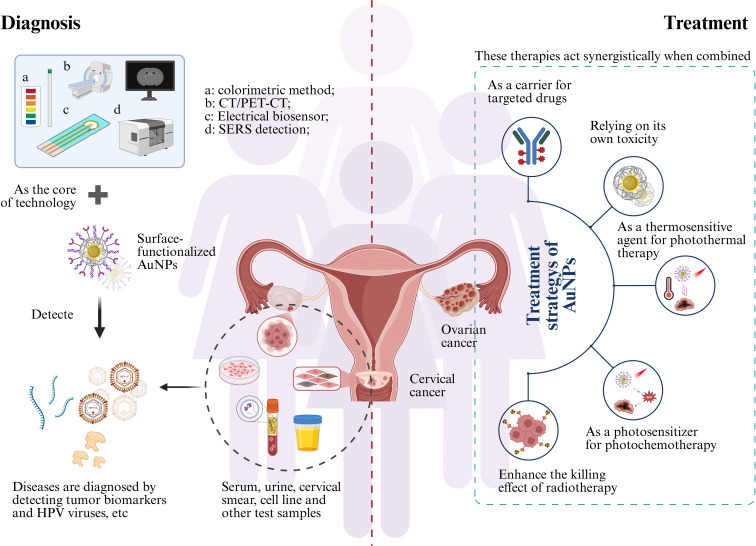 Diagram illustrating diagnosis and treatment strategies for ovarian and cervical cancer. The diagnosis section shows methods like colorimetric, CT/PET-CT, electrical biosensors, and SERS detection, utilizing surface-functionalized AuNPs. Samples such as serum and cervical smear are analyzed for tumor biomarkers and HPV viruses. The treatment section details strategies employing AuNPs for drug delivery, utilizing inherent toxicity, photothermal therapy, photochemotherapy, and enhancing radiotherapy effectiveness. The diagram emphasizes a synergetic approach in treatment.