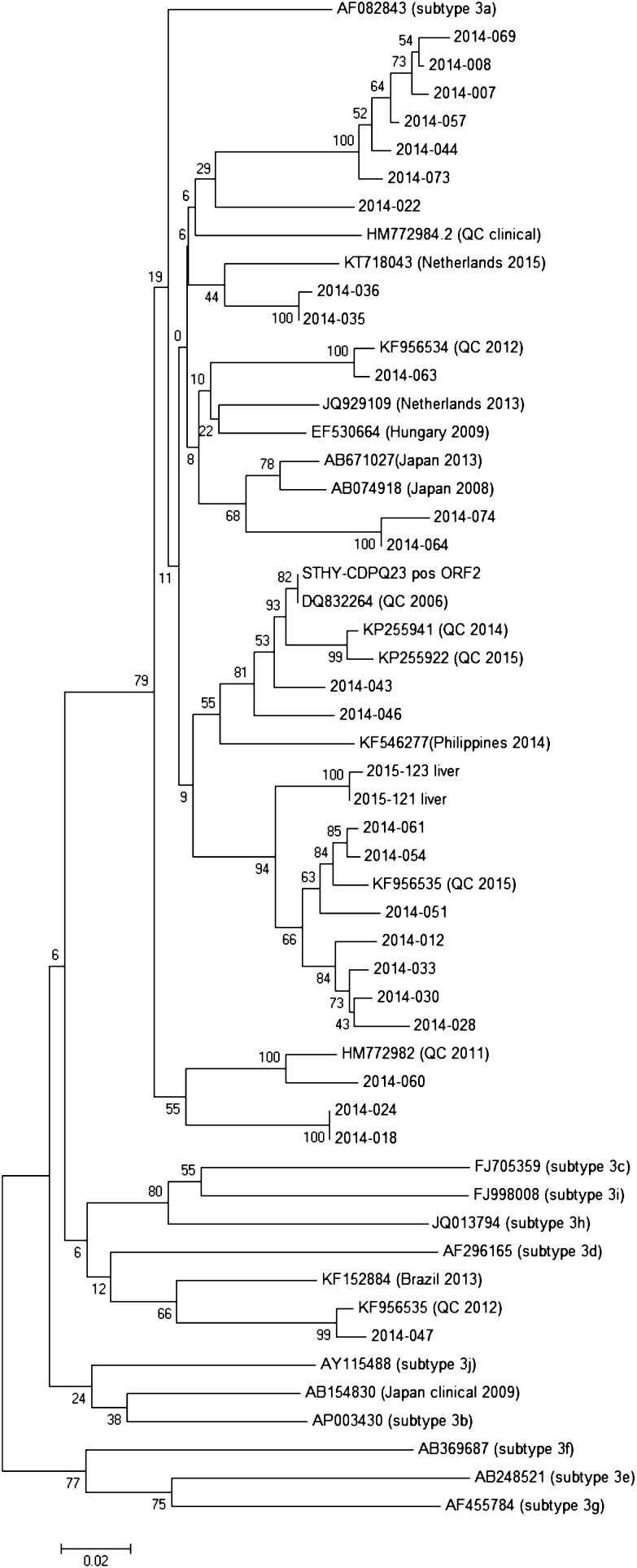 Fig. 1