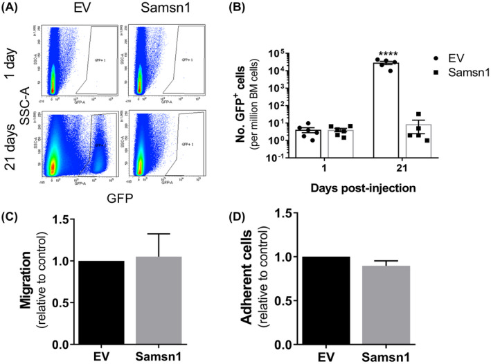 FIGURE 3