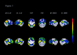 F<sc>ig</sc> 1.