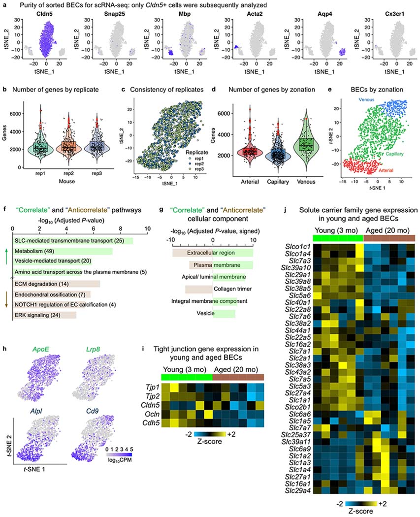 Extended Data Fig. 7|