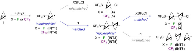 graphic file with name Beilstein_J_Org_Chem-20-3134-i003.jpg