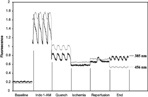 Figure 2)