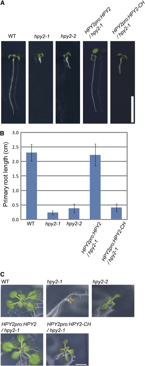 Figure 2.