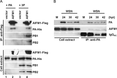 Fig. 6.