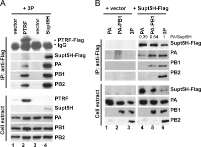 Fig. 9.