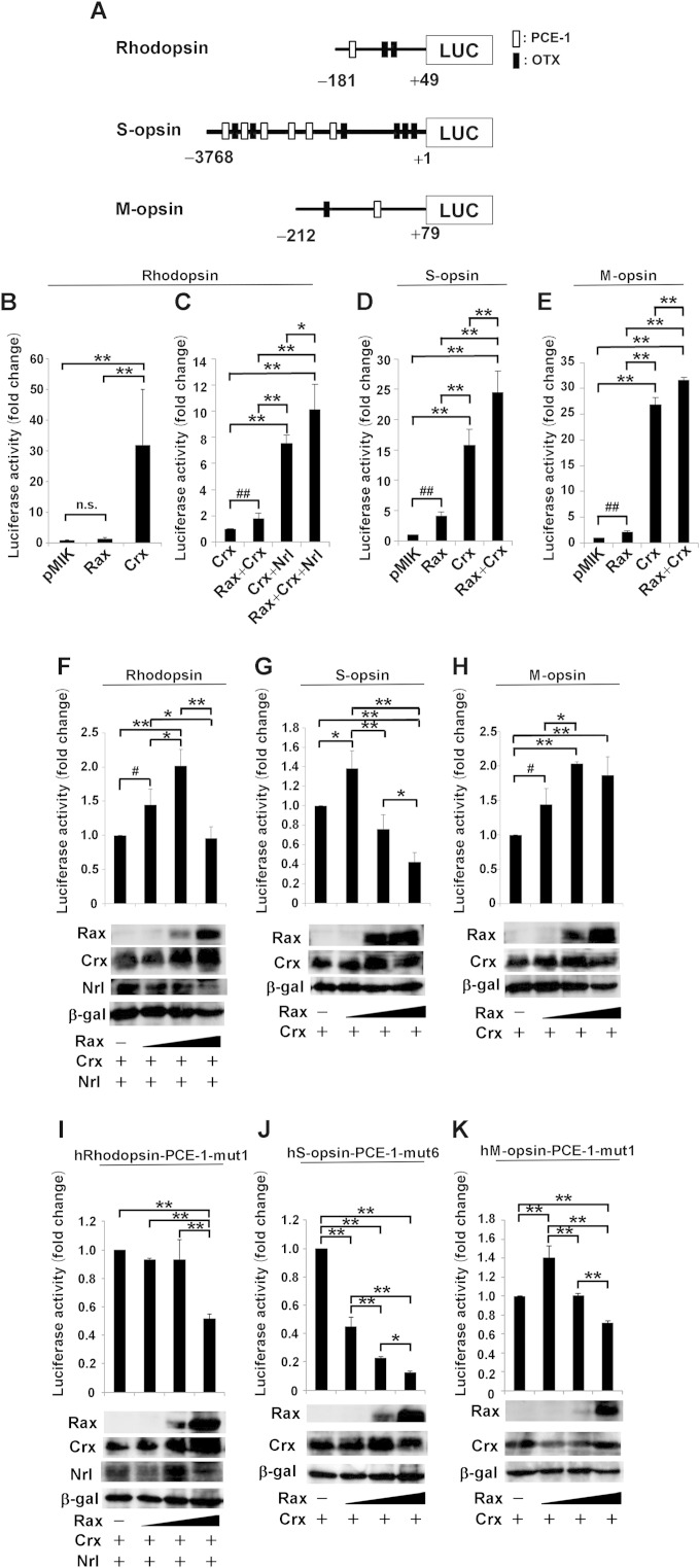 FIG 6