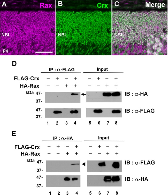 FIG 7