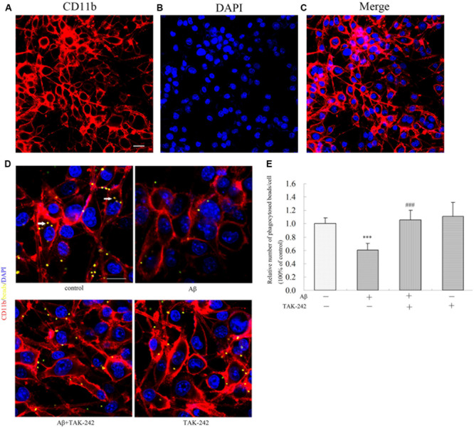 FIGURE 6