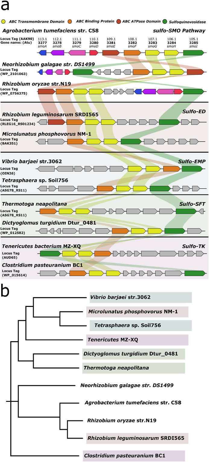 Fig. 4