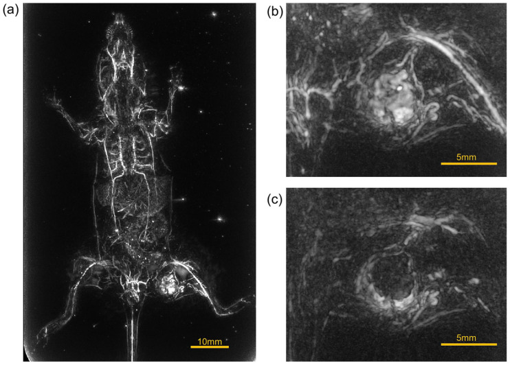 Figure 6.