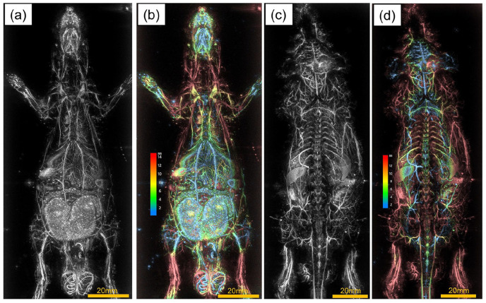 Figure 4.