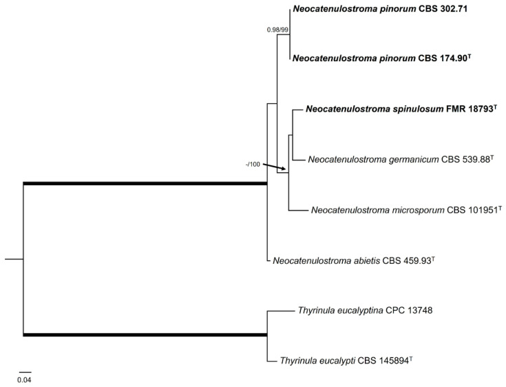 Figure 7