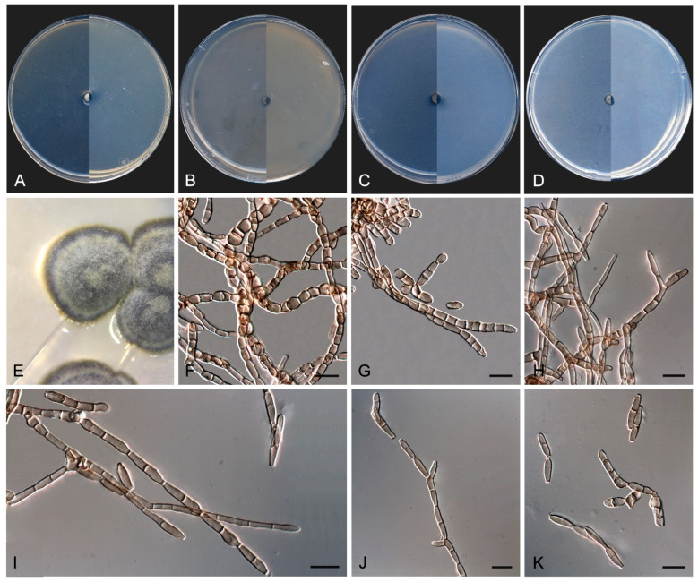 Figure 14