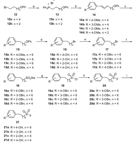 Scheme 2