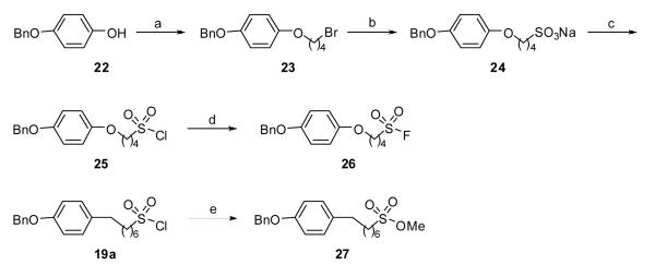 Scheme 3