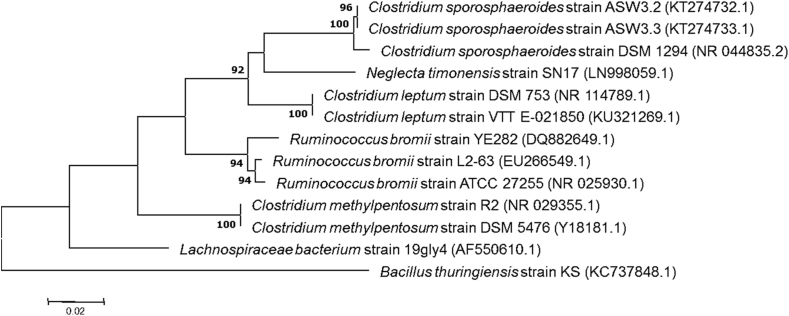 Fig. 1