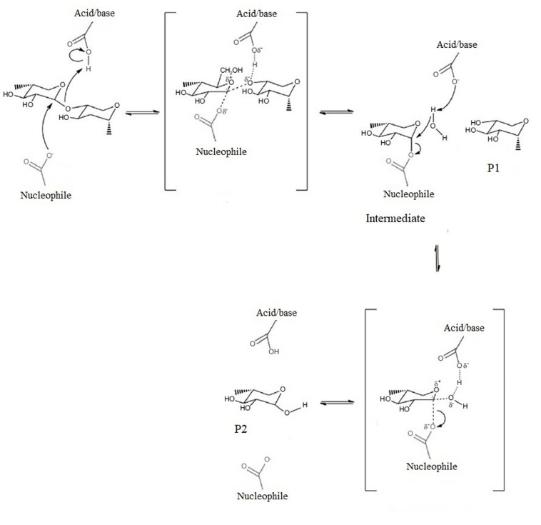 FIGURE 3