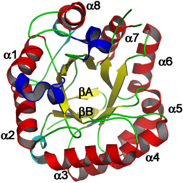 FIGURE 2