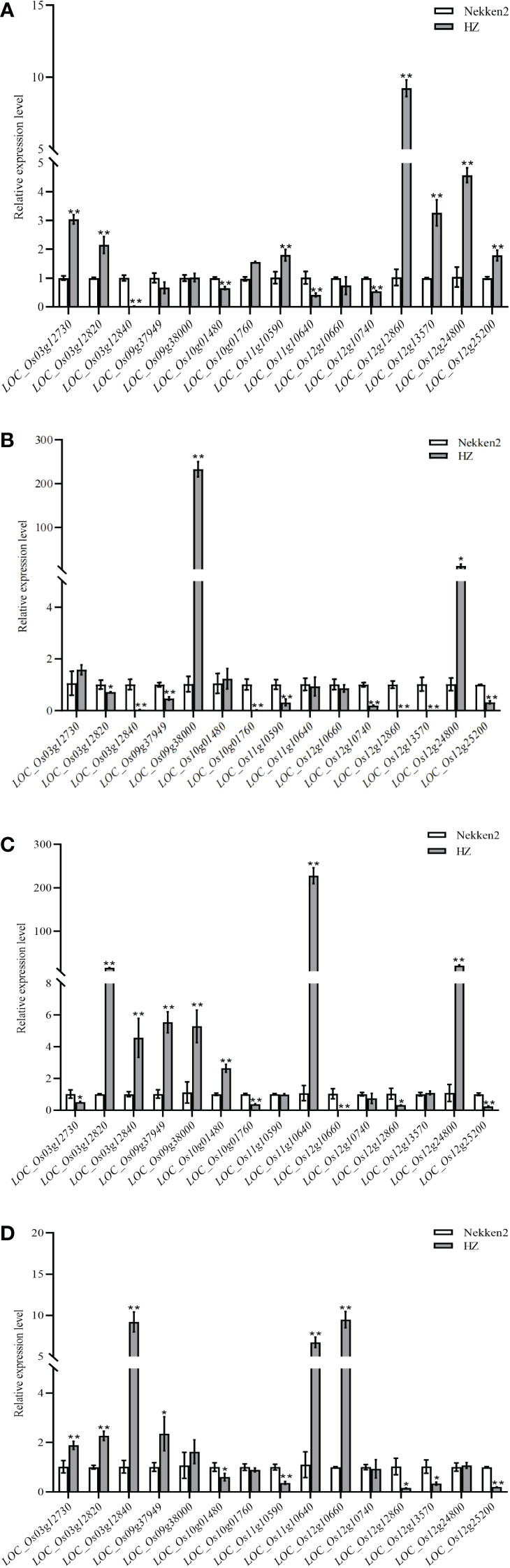 Figure 4