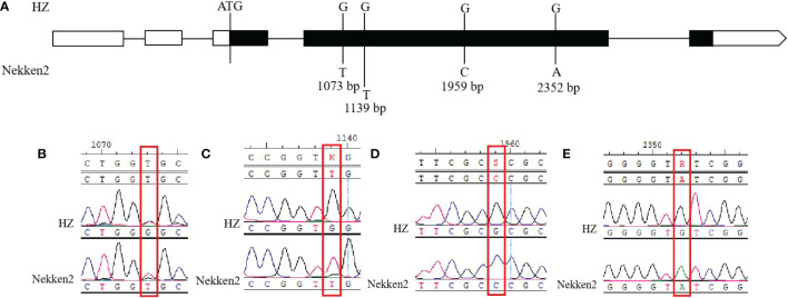 Figure 5