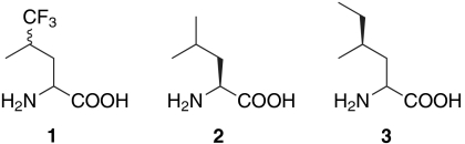 Scheme 1.