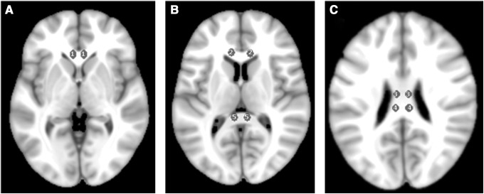 FIG. 2.